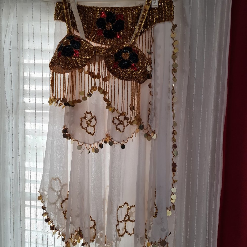 !~CLEARANCE~! Egyptian Belly Dance Skirt & Bra